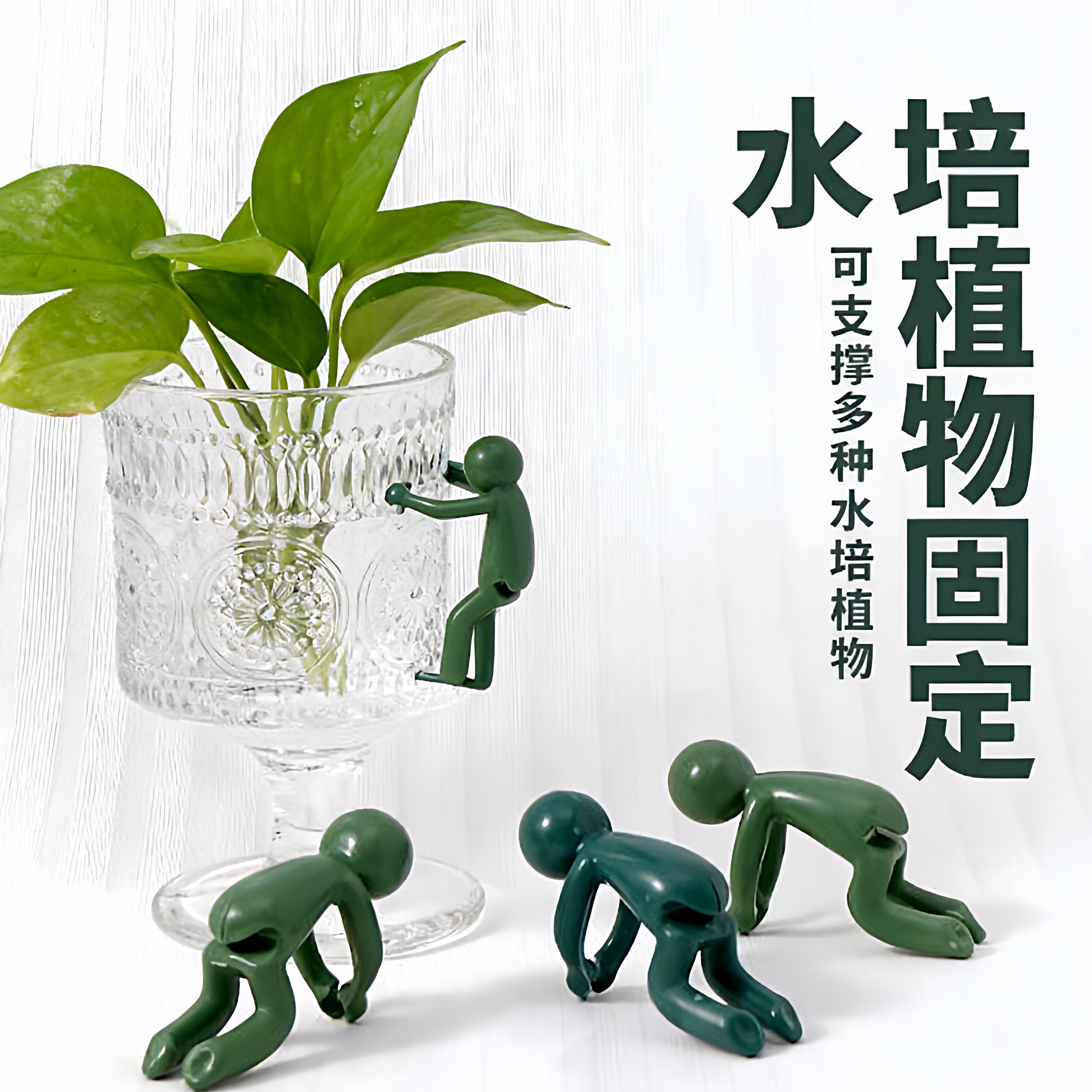 水培植物生长伴侣防倒伏扶枝桌面装饰固定造型防倒植物支撑架