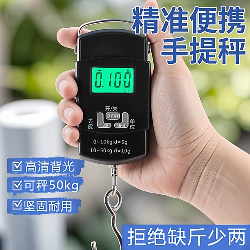 手提电子秤测重自然电子称手提秤弹簧秤家用便携式小型称重器钩