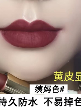 滋润款口红持久防水不易掉色