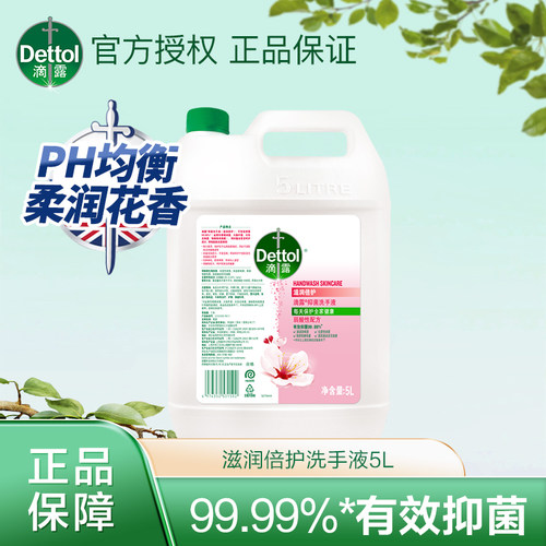 餐厅商场5L酒店抑菌洗手液滴露