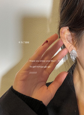 To GetRich/超闪！s925纯银针日韩网红气质流苏耳环高级感耳饰女