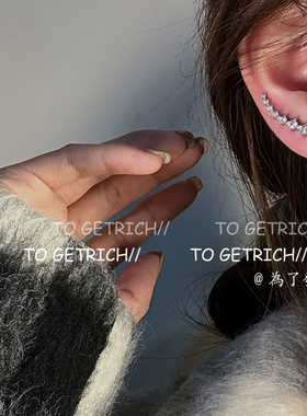 To GetRich/精致锆石一排式耳环小众设计感高级耳钉秋冬气质耳饰