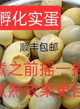 新鲜实蛋石蛋手摇鸡蛋青蛋浑蛋寡蛋旺蛋烧烤30个包邮无小鸡