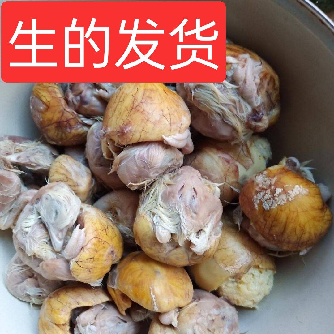 生的 17到18半鸡半蛋 鸡胚蛋  毛蛋 喜蛋旺鸡蛋 活珠子凤凰蛋包邮