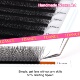 Eyelash Premade Extension Style TDANCE Fans