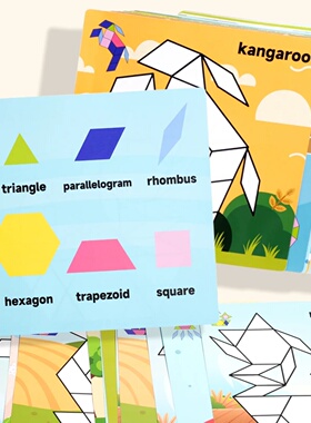 Geometric Magnetic Puzzle Shape Sorter Wooden Blocks Develo