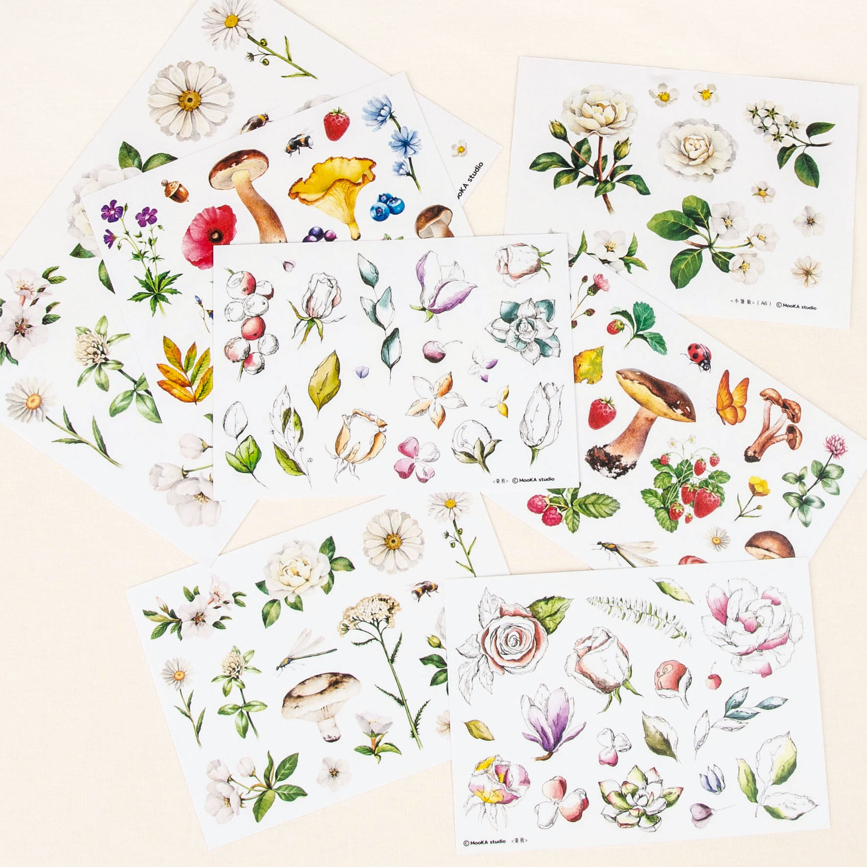 {现货}植物野梅贴纸mooka studio原创手帐 素材贴纸 小雏菊贴纸
