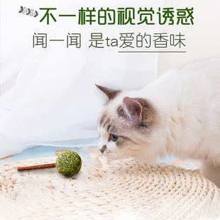 麦斯蒂猫薄荷棒棒糖木天蓼玩具猫零食猫咪磨牙棒猫薄荷球