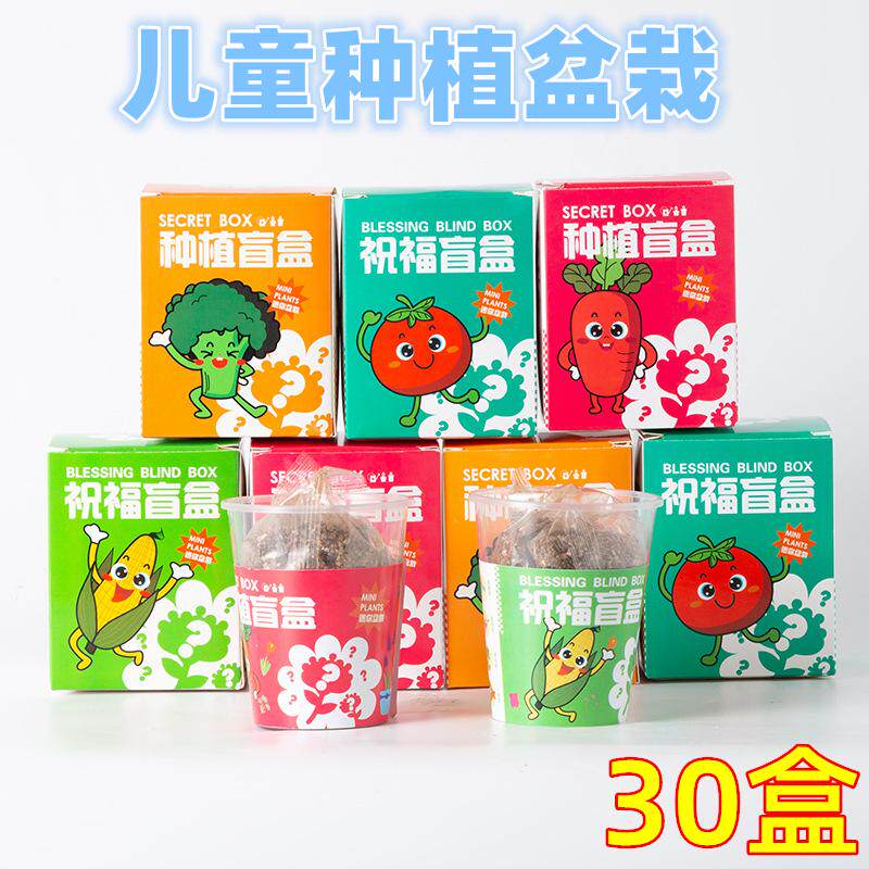 儿童植物种植盲盒小学生礼物奖品