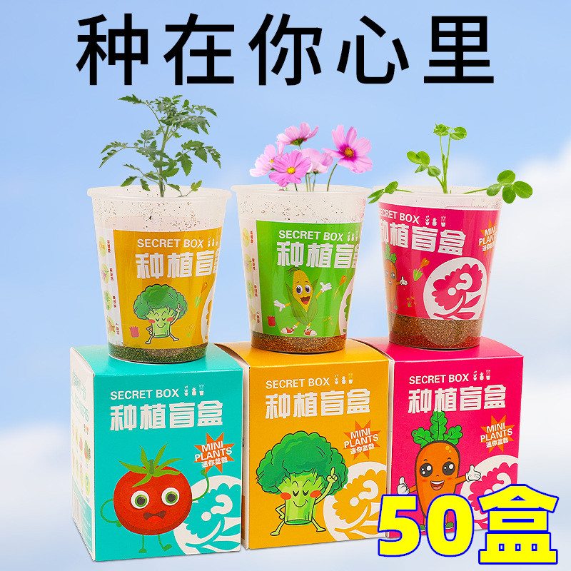 实用儿童DIY种植盲盒开业活动赠品店庆礼物三年级学生奖励小礼品