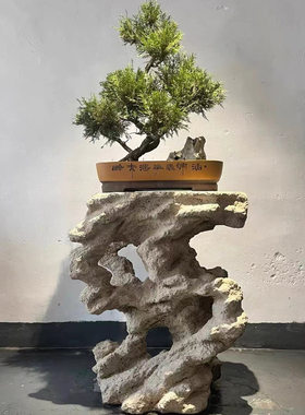 天然奇石盆景附石茶桌书架