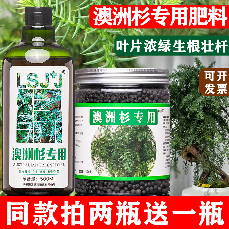 澳洲杉专用肥料营养液