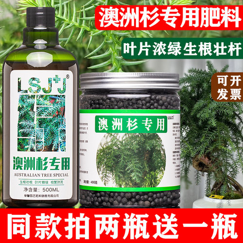 澳洲杉专用肥料营养液