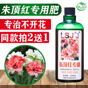 朱顶红肥料专用肥营养液球根植物风信子郁金香仙客来种球通用盆栽
