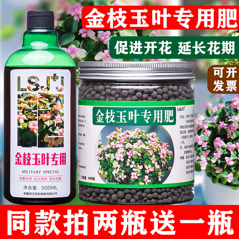 金枝玉叶专用肥料营养液图片