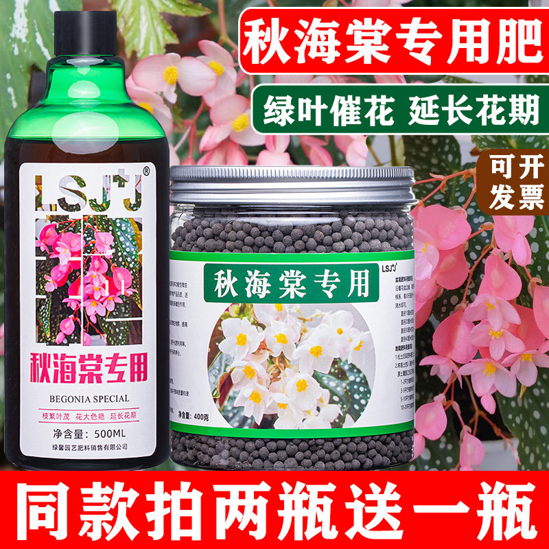 秋海棠专用肥料营养液竹节秋海棠有机肥料花肥绿植防黄叶植物肥料,鲜花速递/花卉仿真/绿植园艺,家庭园艺肥料,淘宝优惠券,粉丝福利购,淘宝优惠卷