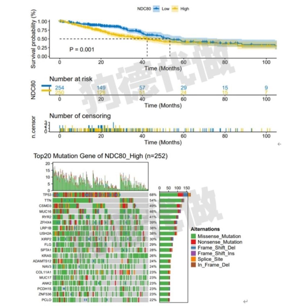 生信分析TCGA GEO数据库挖掘单细胞测序转录组分析自测序数据
