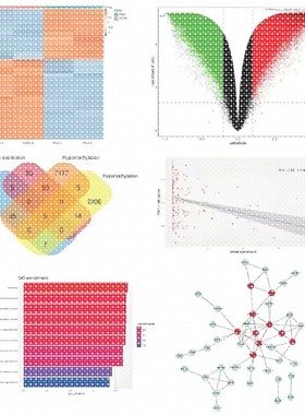 Python爬虫数据分析深度学习opencv神经网络代码nlp程序代做编程