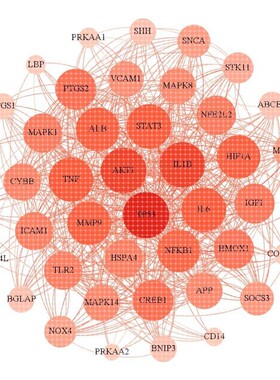 光学仿真lumerical fdtd rsoft cst optisystem Zemax分析帮代做