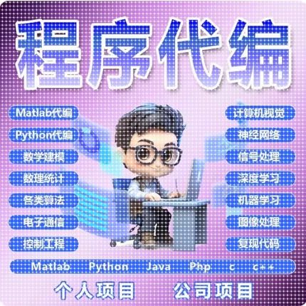 matlab程序代编代码帮做图像神经网络python代做深度学习算法彷真