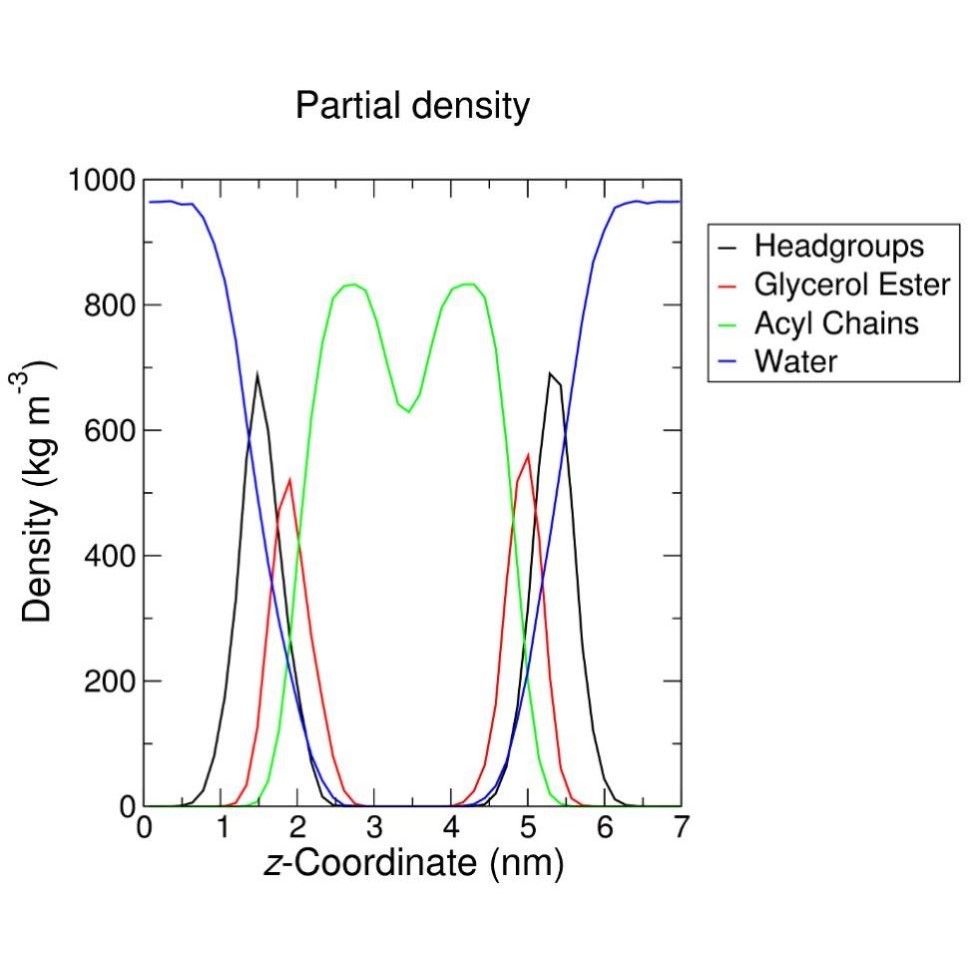 膜蛋白的分子动力学模拟蛋白模型构建分子对接基因家族