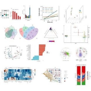 NCBI blast多序列比对/共线性分析/比较基因组 生信16s菌株鉴定