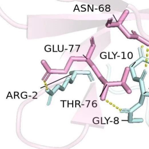 分子动力学模拟DFT MS poster studio带教程文件出图