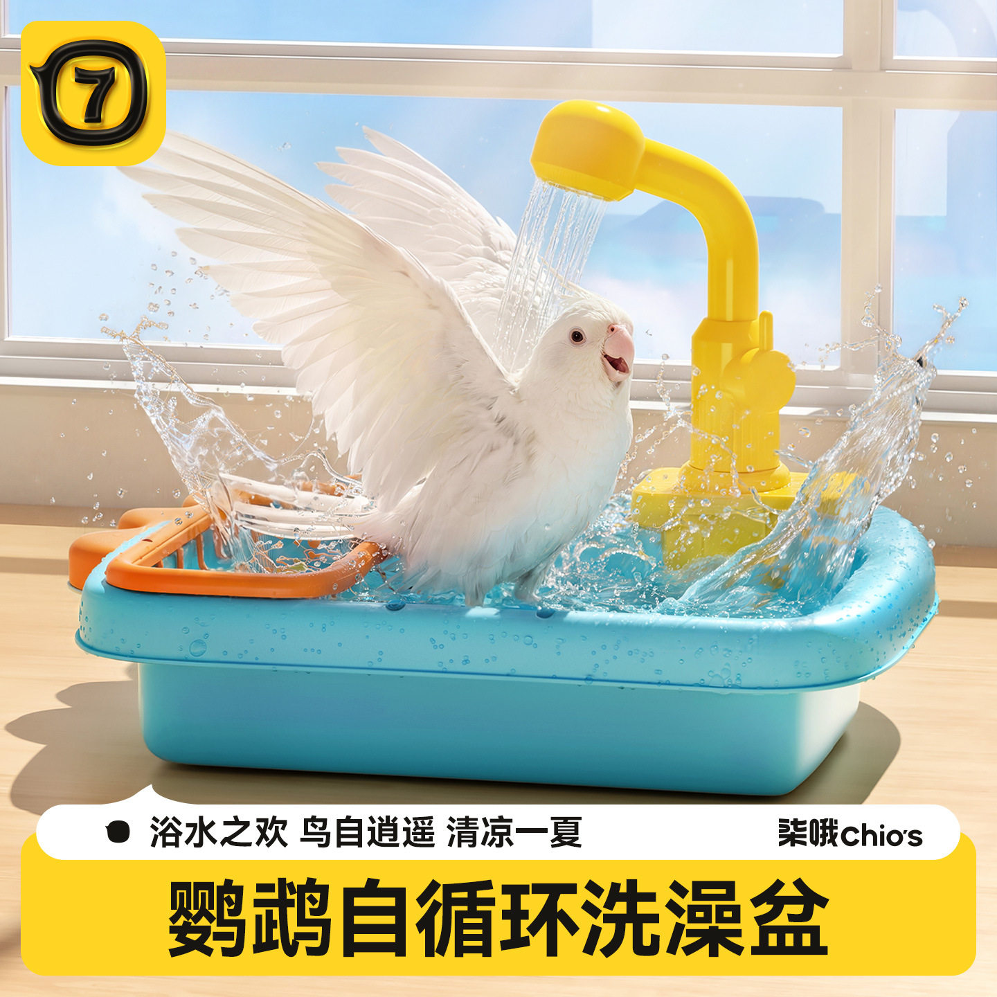 鹦鹉鸟用多功能淋浴洗澡盆虎皮牡丹玄风沐浴盆玩具洗澡器宠物用品