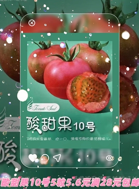 抗TY豫艺酸甜果10号番茄种子5粒5.6元原包分装F1口感番茄抗病性好