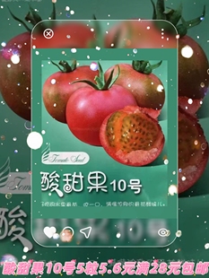 抗TY豫艺酸甜果10号番茄种子5粒5.6元原包分装F1口感番茄抗病性好