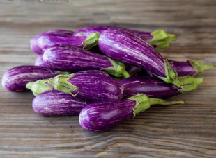 F2盆栽童话故事小茄子种子5粒5元 满28元包邮