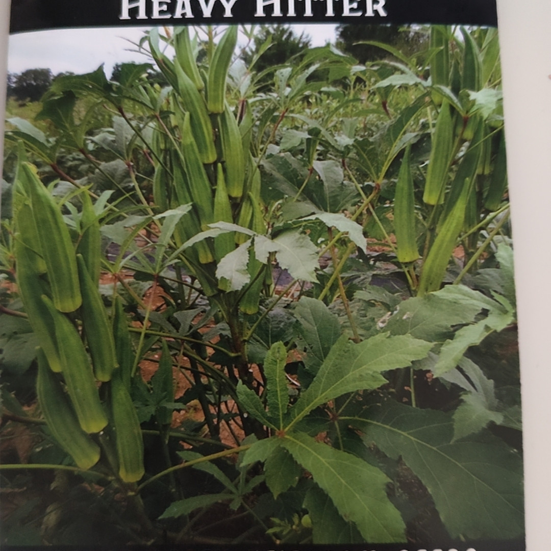 传家宝秋葵重击秋葵 5粒4元满28元包邮