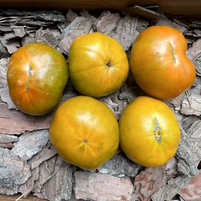 传家宝番茄种子索伯恩赤陶土thorburn'S terra-cotta 10粒8元