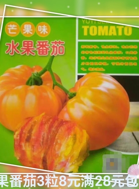新款豫艺芒果味水果番茄种子3粒6.90元原包分装F1甜口感好