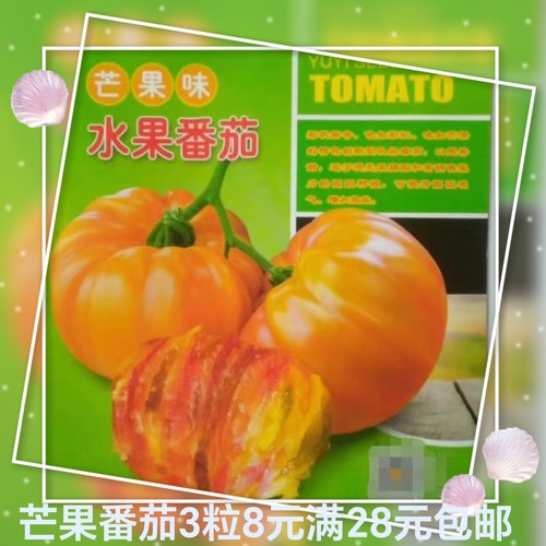 新款豫艺芒果味水果番茄种子3粒6.90元原包分装F1甜口感好