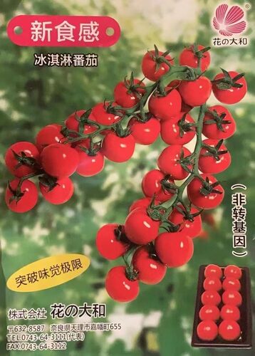 F1  花之大和红宾吉铃番茄籽3粒24元籽小无售后皮薄高亮28元包邮