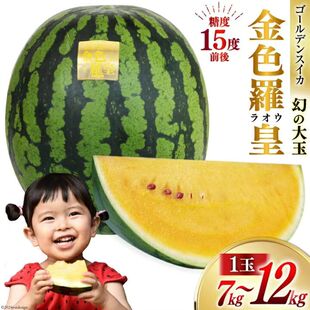 F1 日本金色羅皇西瓜种子3粒18.80元满28元包邮