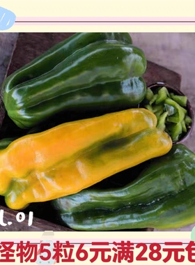 传家宝甜椒种子黄色怪物yellow mon  5粒6元  满28元包邮