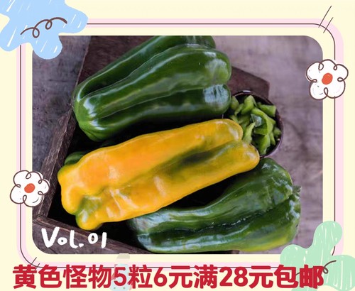传家宝甜椒种子黄色怪物yellow mon  5粒6元  满28元包邮
