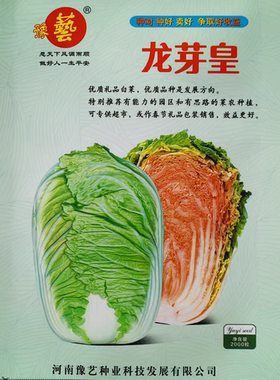 豫艺龙芽皇白菜种子约40粒2元优质礼品白菜 內叶桔红色28元包邮