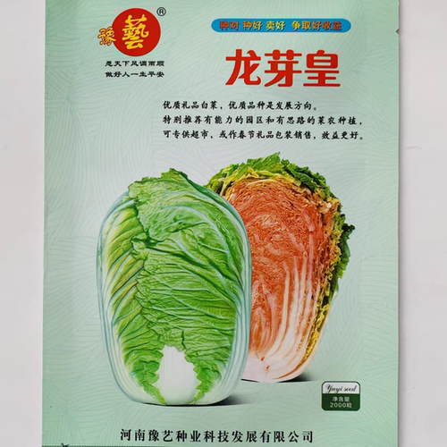 豫艺龙芽皇白菜种子约40粒2元优质礼品白菜 內叶桔红色28元包邮