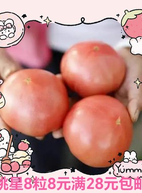 F1 泷井育种桃星大番茄种子28元包邮
