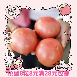 泷井育种口感番茄桃太郎桃星5粒5.8元 杂交F1 原包分装 28元包邮