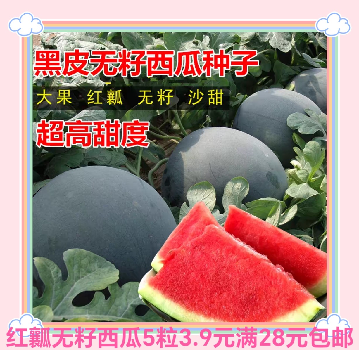 无籽西瓜种子5粒3.9元黑皮红瓤懒汉巨型无籽西瓜耐裂,农用物资,蔬菜种子/种苗,淘宝优惠券,粉丝福利购,淘宝优惠卷