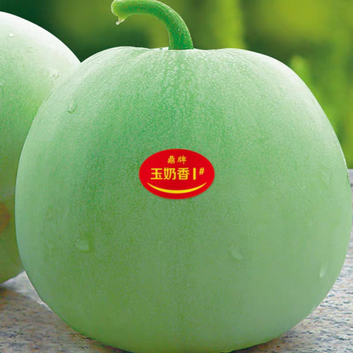 鼎牌玉奶香薄皮甜瓜种子10粒3元绿皮绿肉早熟香瓜带奶香味瓜