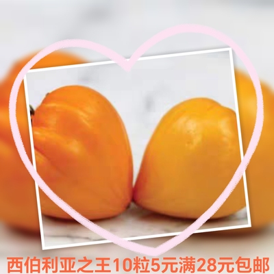 传家宝番茄种子西伯利亚之王Golden King of Siberia10粒5元