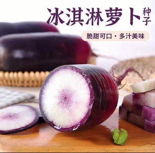 甜脆冰淇淋萝卜种子约100粒4.6元原包甜脆红皮红心萝卜籽28元包邮