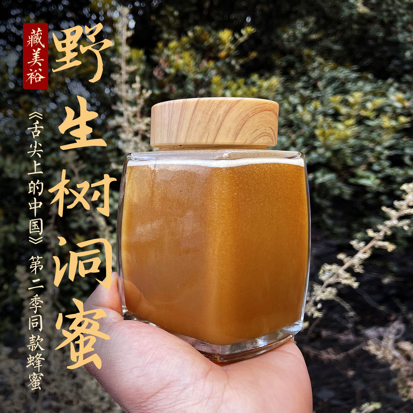 藏美裕 西藏野生树洞蜂蜜 舌尖上的中国同款林芝天然百花土蜂蜜