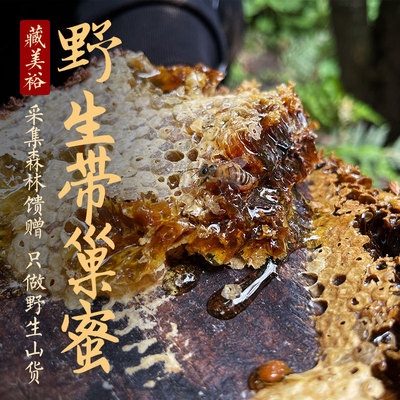 西藏林芝野生树洞蜜蜂巢蜜即食