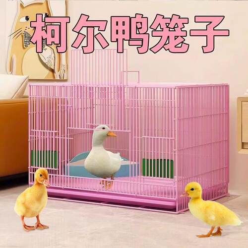 柯尔鸭笼子防臭可折叠鸡鸭鹅笼子
